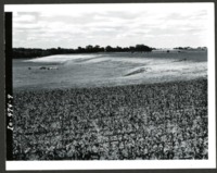 Erwin W. Cole Farm