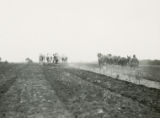 Teams of draft horses and mules pulling disk harrows, 1930