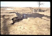 Erosion damage in a livestock pasture.