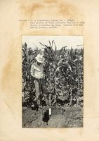 1934 - 1938 Multi-State Photograph Collection  