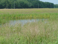 2007 Jack Strawhacker photos of pastures and ponds