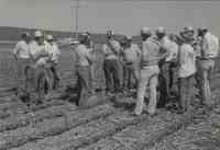 No-till farmers hold a meeting in a field
