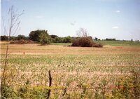1996 ART Trust terraces