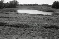 1977 Drainage ponds