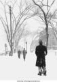 Pentacrest in snowcover, The University of Iowa, ca. 1950