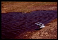 Larry Braby's Farm Before and After a Wetland Construction Project.