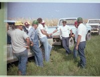 Group of Men in Corn Field