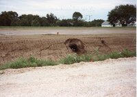 1995 Terrace Berm Blowout