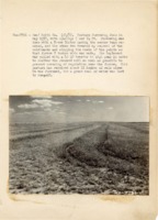1937 - Pasture furrowing with spacings 7 and 14 feet