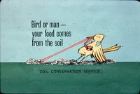 Bird or man - your food comes from the soil.