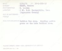 Native grass, 1972