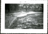 Water Flooding Over the Banks of the Turkey Creek Water Basin