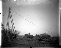 AG 219  Shelling corn