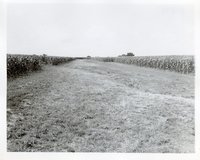 Photograph Collection Of Cropland  