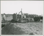 Compacting grass silage with ""cat"" tractor in pit silo