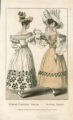 Public Concert Dress and Dinner Dress