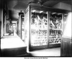 Museum in Macbride Hall, The University of Iowa, 1904