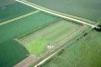 Windbreak on the farm of Don and Phyllis Conley.