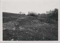 Limestone deposits on Harold Holder's farm.