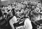 Operation on mouth of horse, 1936