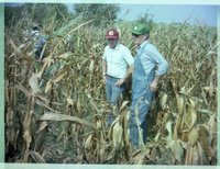 Group of Men in Corn Field