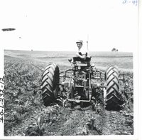 Wayne Meyer cultivating corn field, 1967