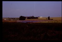 Restoration Project on Smokey Stover's Farm.