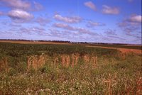 Waterway Construction on the Hummel Farm.
