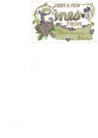 Postcard from Beaman Postcard