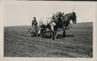 Horse drawn cultivator.
