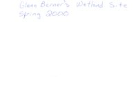 Glenn Berner's wetland site, 2000