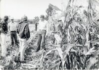 1978 No-till tours