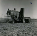 Self-propelled combine harvesting crops, right side view showing brand name Massey Ferguson, 1955