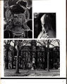 1977 Yearbook