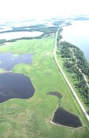 Bedell Tract.