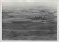 Aerial View of Farmland showing trees and a farm
