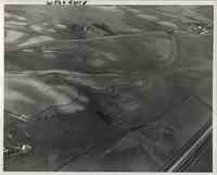 Unidentified West Field in Plymouth County, Iowa