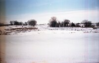 Snowy fields