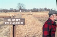 Rountree grasses