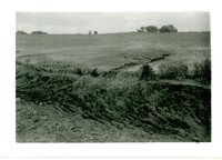 Road Ditch Below H. Smith Farm, 1958