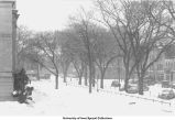 Washington Street business across from Schaeffer Hall in winter, The University of Iowa, between 1945 and 1950