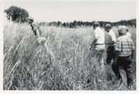 1970's Group of men in tall grass