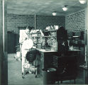 Student loading a centrifuge, The University of Iowa, 1950s