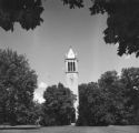 Campanile, 1952