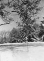 Campanile in winter, 1947