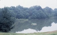 Diving platform in the middle of unidentified lake, 1985