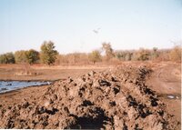 2002  Wetland Construction at Brockway LLLP