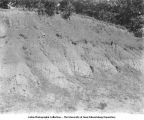 Exposure, showing loess under drift, Afton Junction, Iowa, late 1890s or early 1900s