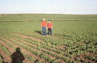 Quad State Award winners Frank and Marcia Escue farm.