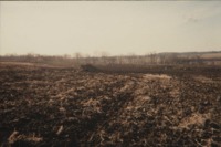 Ray Schneider's Farm.